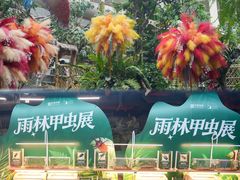 -正佳雨林生态植物园