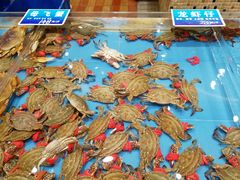 -双井轩(双井店)