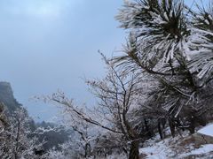 -泰山风景名胜区