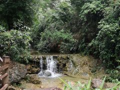 -南海湾森林生态园