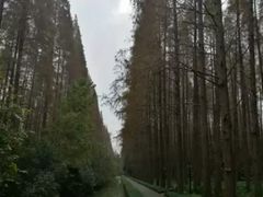 -上海怡沁园度假酒店