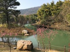 -宝岩生态观光园
