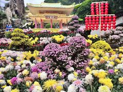 -西湖公园(鼓楼区)