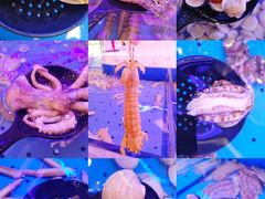 -澜悦港海鲜体验主题餐厅