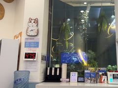 -纳吉亚猫专科动物医院·北北分院