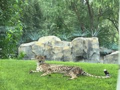 -北京野生动物园