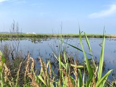 -农垦当壁镇兴凯湖旅游度假区