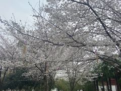 -堤角公园