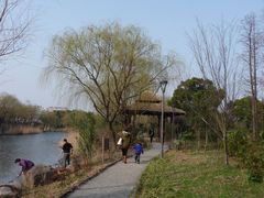 小路-新江湾城公园