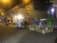 -油麻地果栏