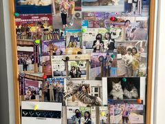 -青奢宠物·青奢猫舍