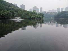 -重庆彩云湖湿地公园