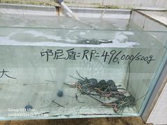 -海盗餐厅