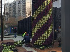 -飞马旅黎黄陂路文旅街区
