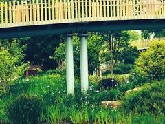 -上海植物园-4号门售票处