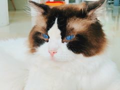 -百信宠物医院(东升街店)