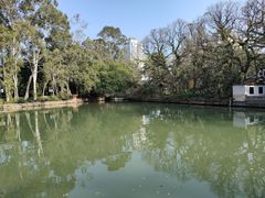 -西湖公园(鼓楼区)