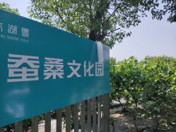 -太湖雪蚕桑文化园