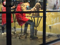 -西元前宠物酒店(郑庄府邸店)