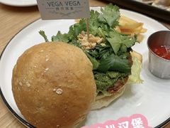 -VEGA VEGA 我行我素