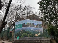 -紫金山天文台
