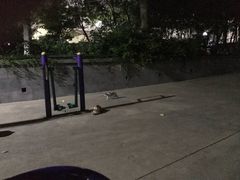 -山东大学(千佛山校区)