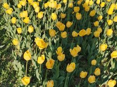 -长春公园(普阳街道)