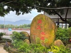-肥舅父農莊