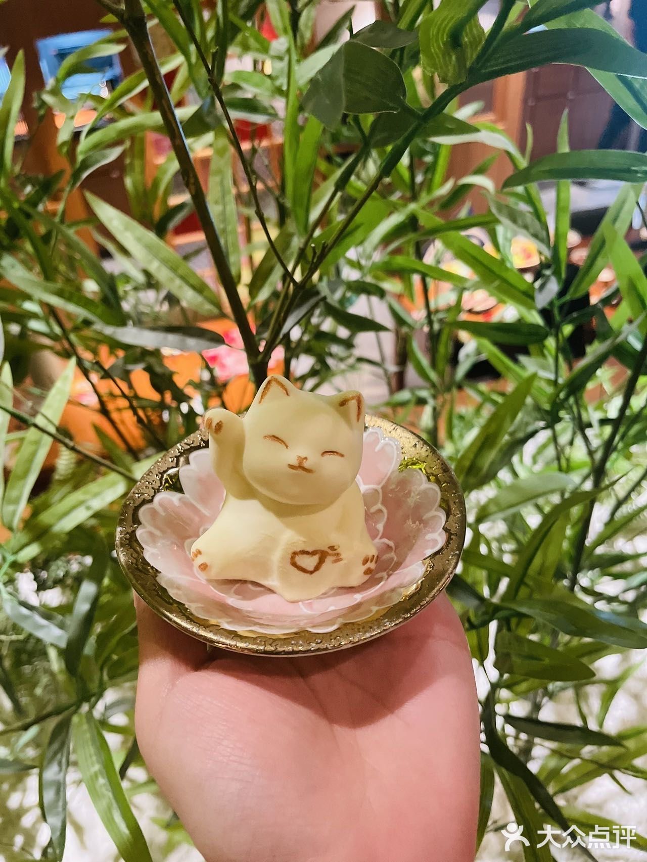 “原心·酒屋”🏮梦回京都的炭火烧鸟