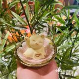 “原心·酒屋”🏮梦回京都的炭火烧鸟