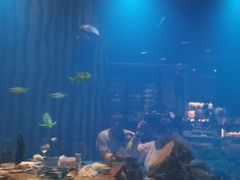 -海棠湾洲际-涛·海底餐厅·美人鱼·自助餐·海底隧道