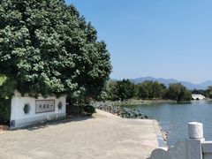 -飞来湖湿地公园