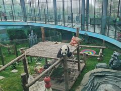 -大连森林动物园