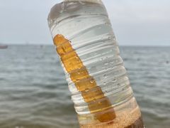 -潍坊欢乐海沙滩景区