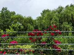 -雨花胜境