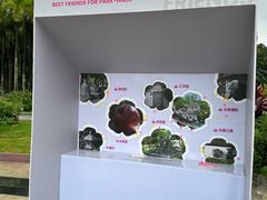 -深圳国际园林花卉博览园