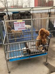 -萌宠亲子动物乐园(槐房万达店)