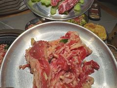 -杨小佳·齐齐哈尔烤肉·烤串(广州店)
