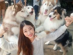 -TrueLove @ Neverland (Husky Cafe)