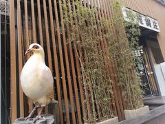-琬苑鸽庄·川粤融合菜(解放碑总店)