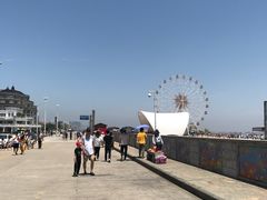 -奉贤海滩
