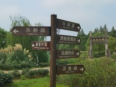 -杏花村文化旅游区