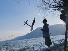 -滇池海埂公园