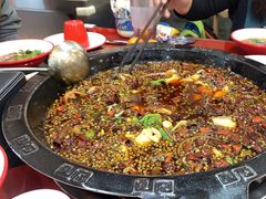 -烧哥美蛙肥肠鱼火锅·十五年社区店