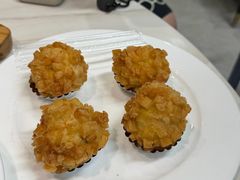 -丁老爷子苏香圆