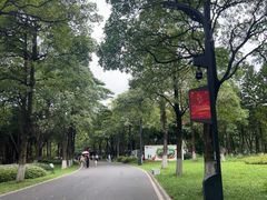-海珠湖公园