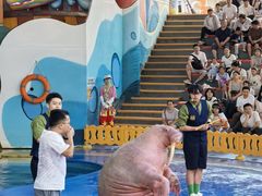 -海合安武汉极地海洋公园