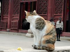 -西园戒幢律寺