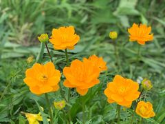 -白草畔自然风景区