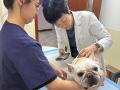 -美联众合动物医院·24h转诊中心